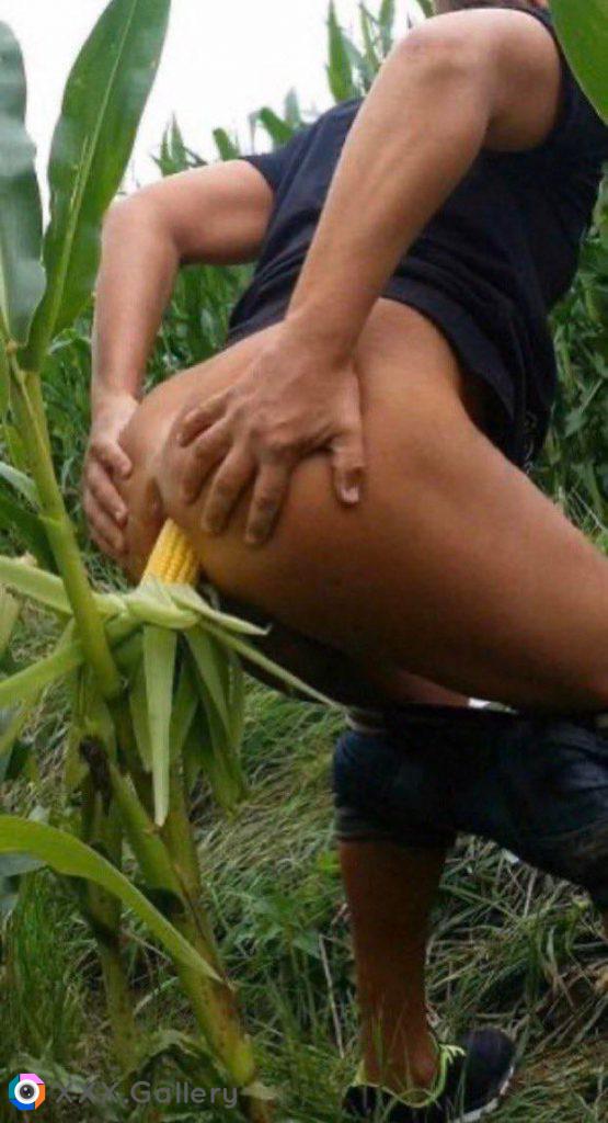 ? Cornfield anal slut