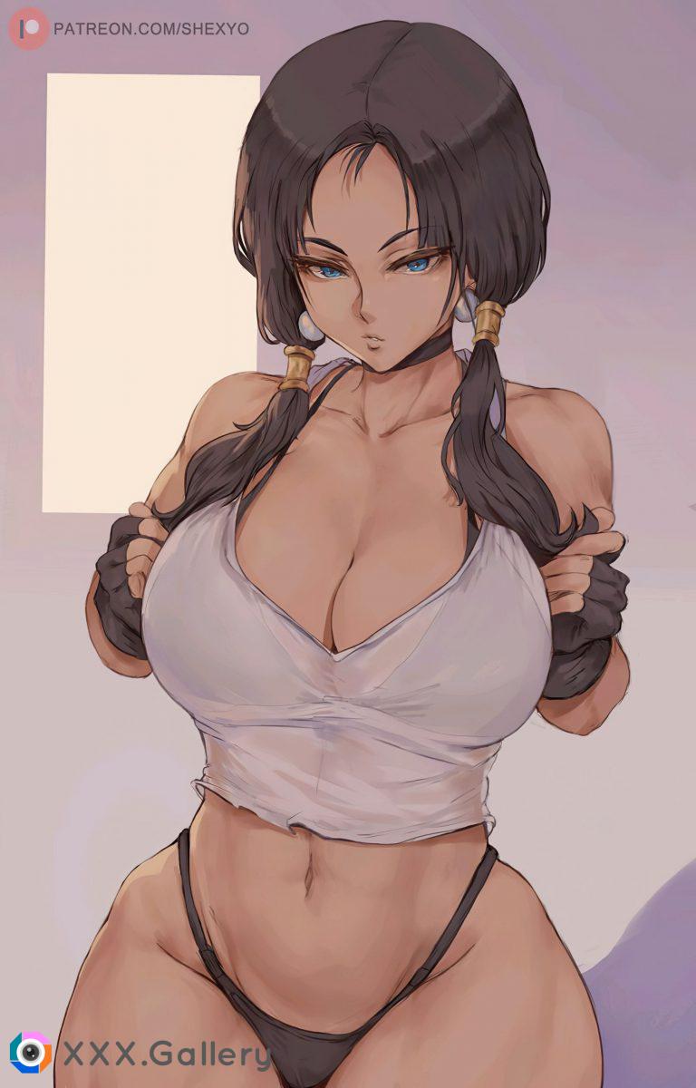 Videl (Shexyo) [Dragon Ball Z]