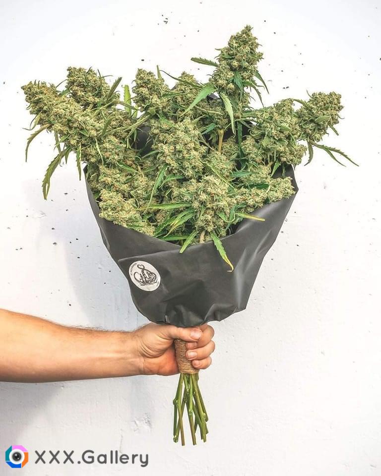 The bouquets they really want this Valentine’s Day fellas! Upvote if that’s a yes please ????