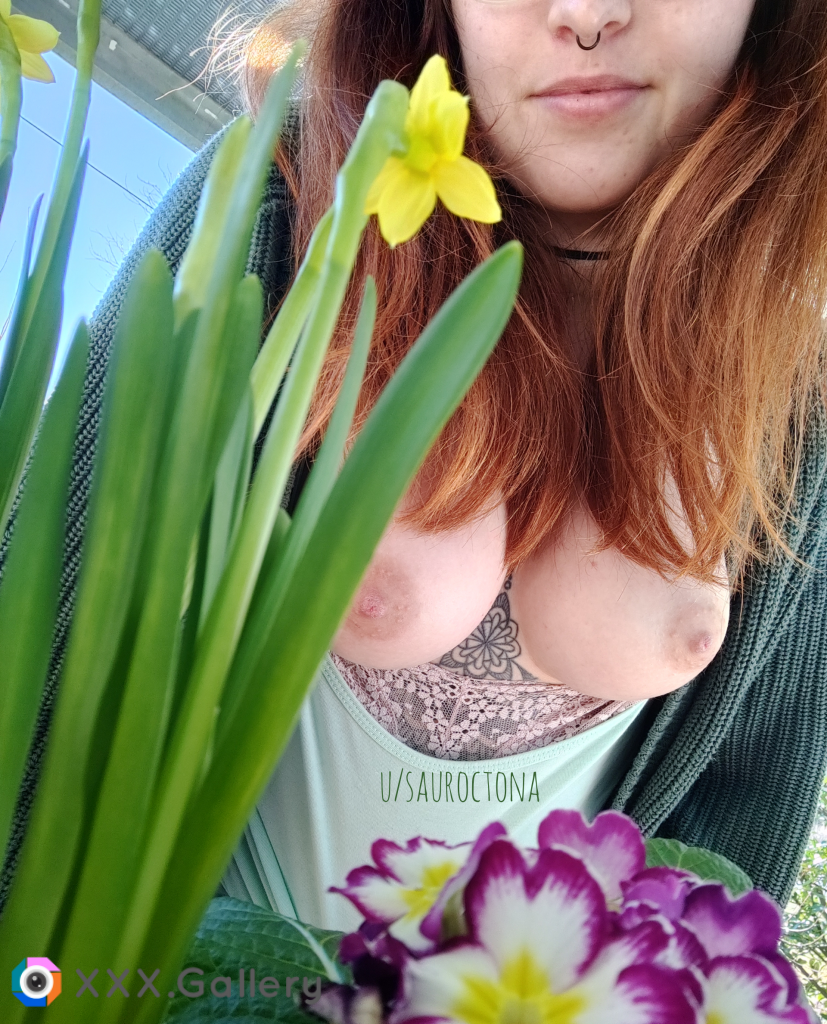 Ist es noch zu früh, um den (F)rühling zu begrüßen?