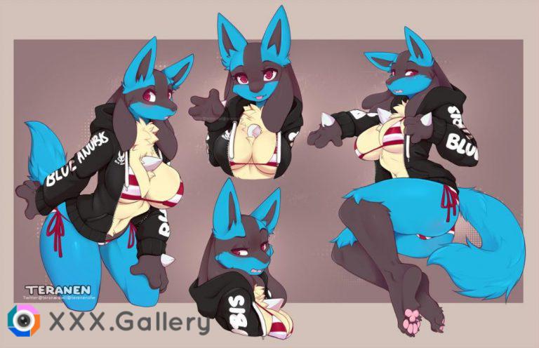 Lucario in a hoodie (Teranen)