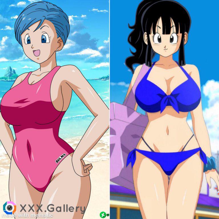 Who would you rather fuck? Bulma or Chichi?