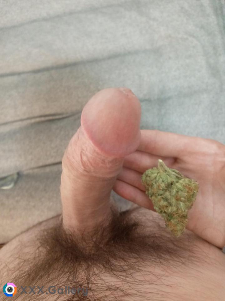 [30M] Dick and Nugs for the horny stonettes