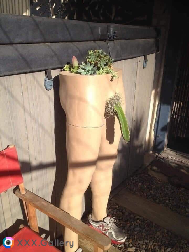 thats an interesting planter