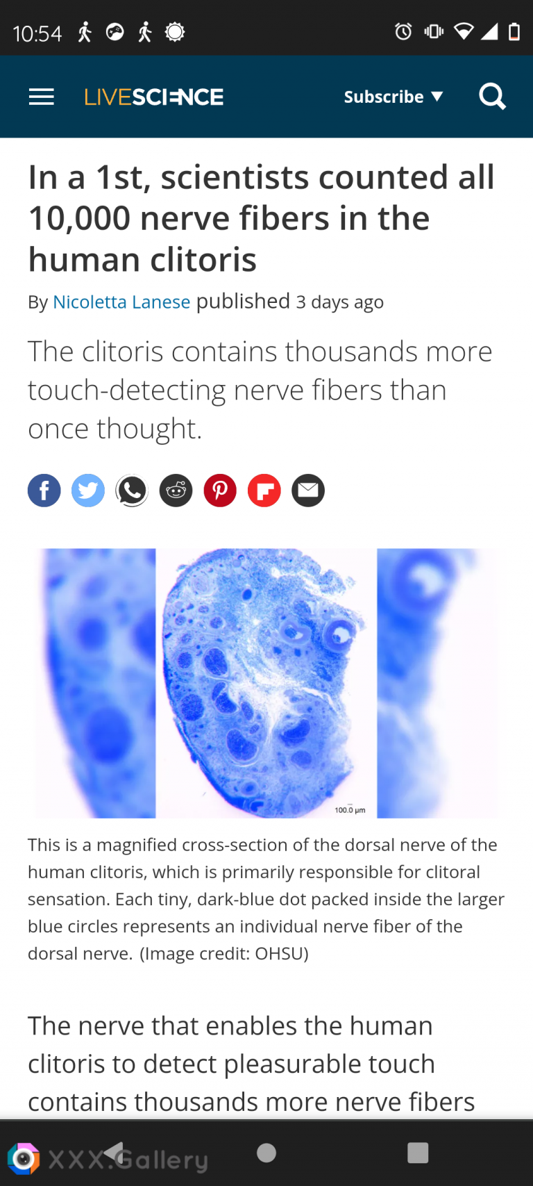 In a 1st, scientists counted all 10,000 nerve fibers in the human clitoris!