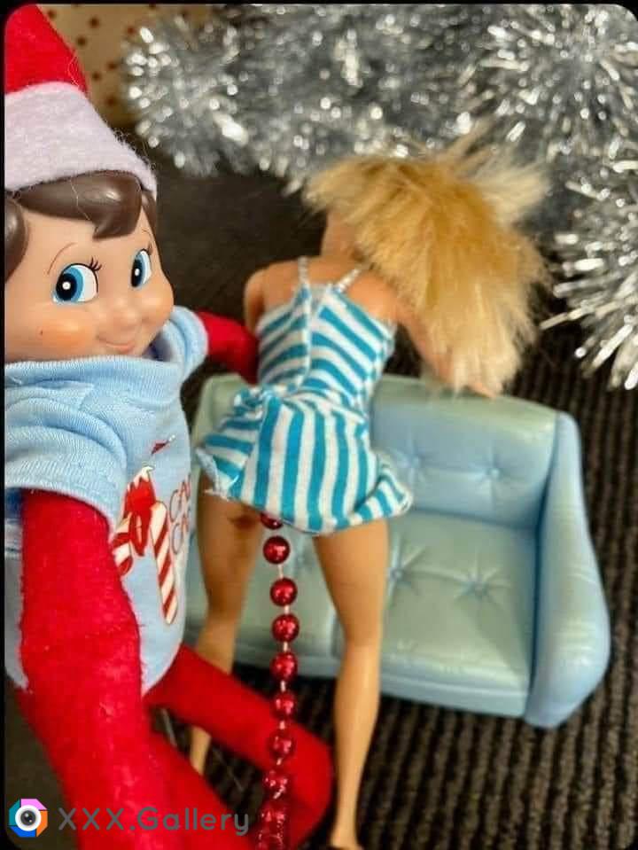 Barbie's not so BDSM Christmas toy