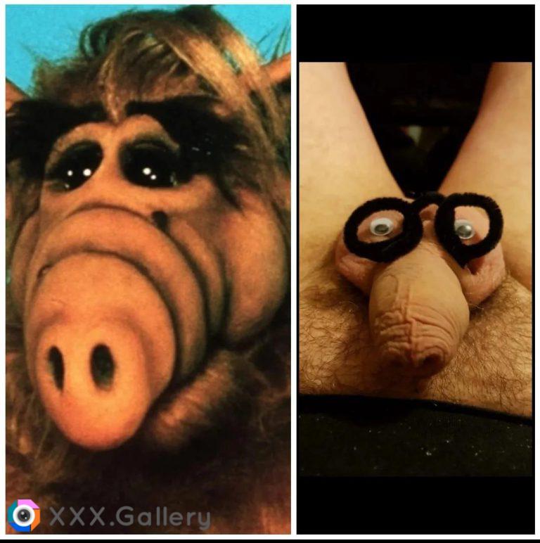 Alf