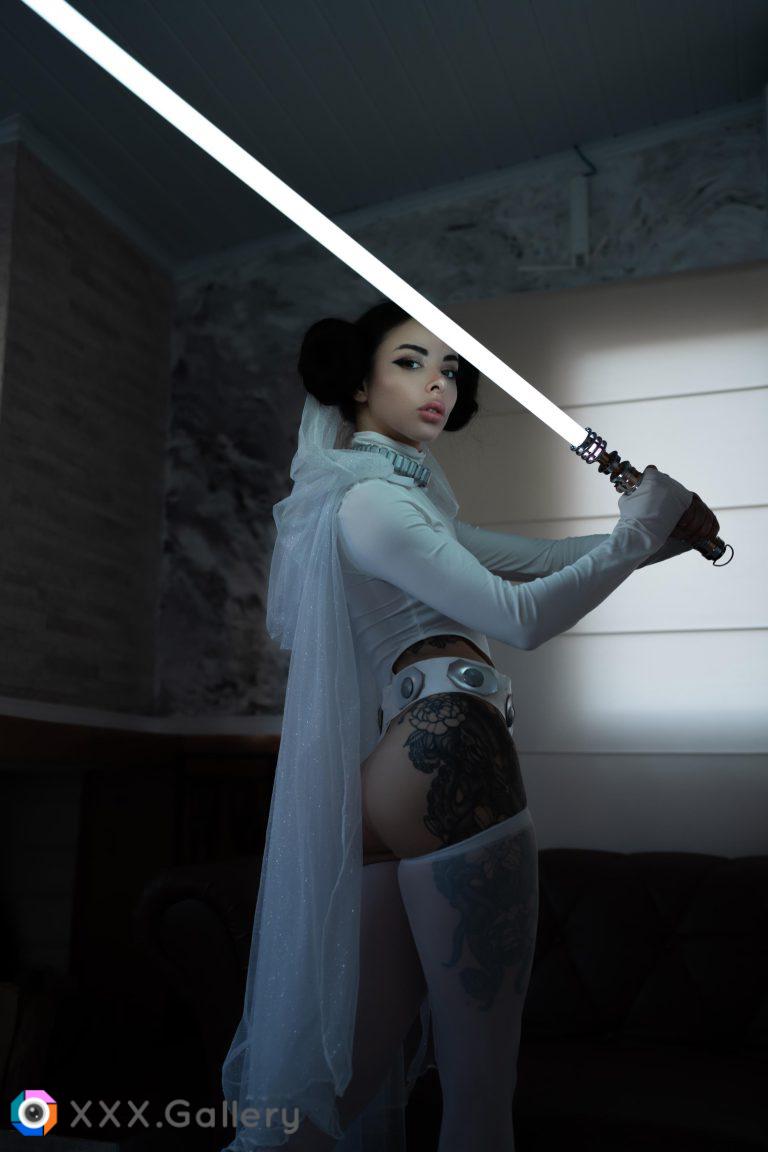 Princess Leia (AmandaWelp)