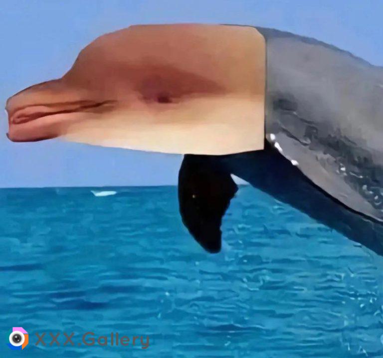 The rare dolphinius vaginaus