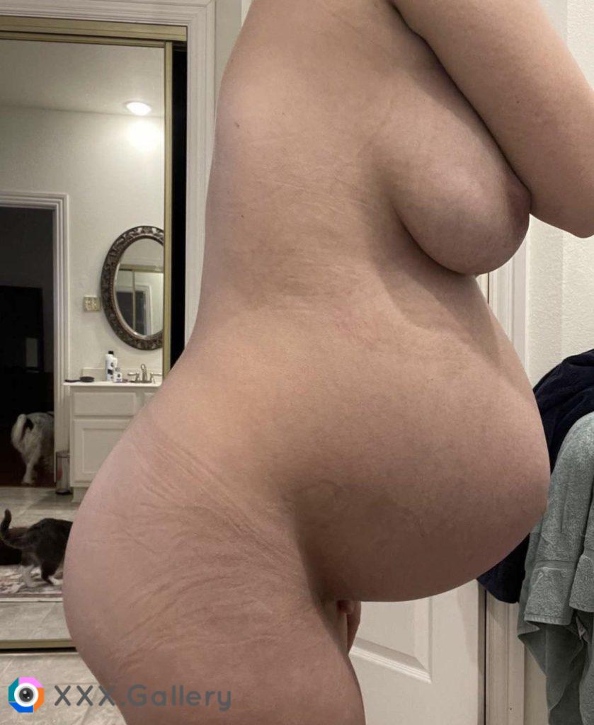 [OC] Would you fuck my pregnant ass or pussy? [IMG]