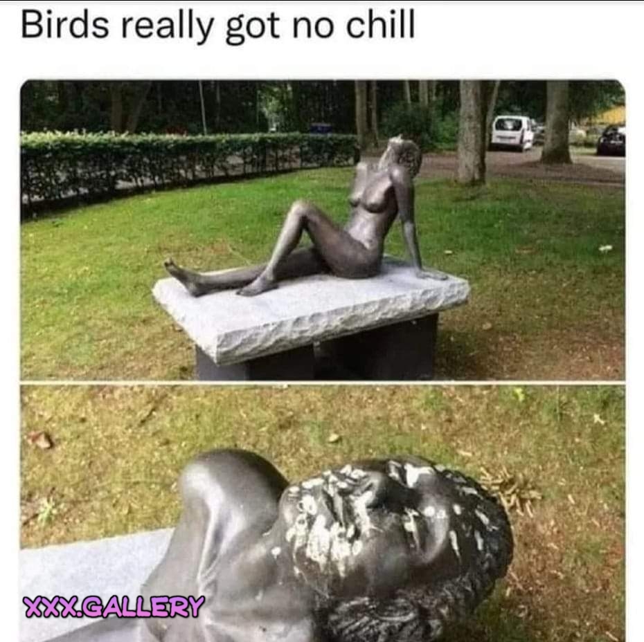 Birds gotta chill