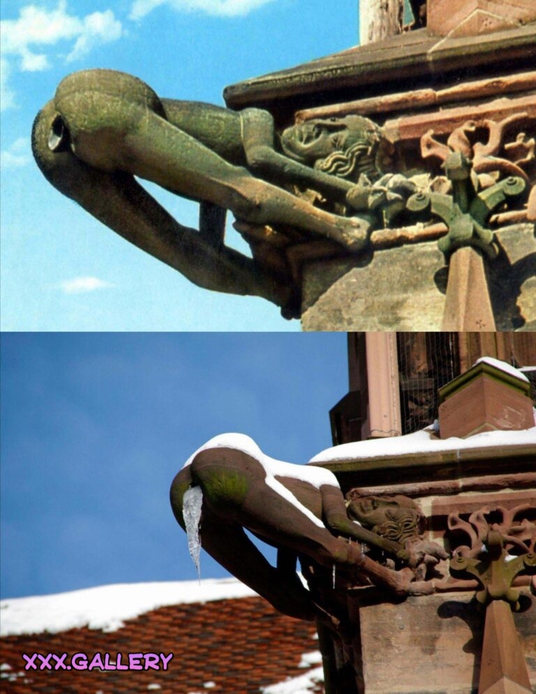 Gargoyle on the Freiburg's Cathedral (Freiburg Münster), Germany.