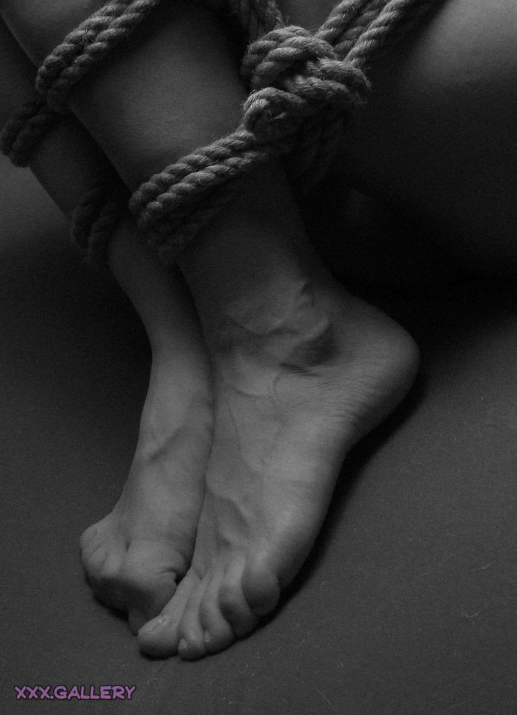 Tied Up and Ready to Explore 1