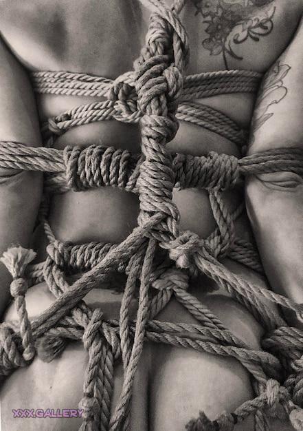 Tied up and Loving It 4